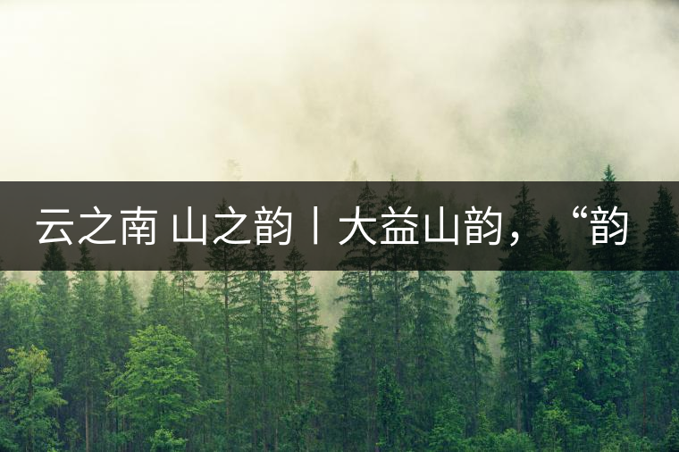 云之南 山之韻丨大益山韻，“韻”味傳奇之山韻歸來(lái)