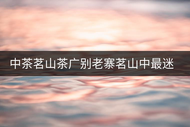中茶茗山茶廣別老寨茗山中最迷人的那首“詩(shī)” 中茶茗山茶廣別老寨茗山中最迷人的那首“詩(shī)”