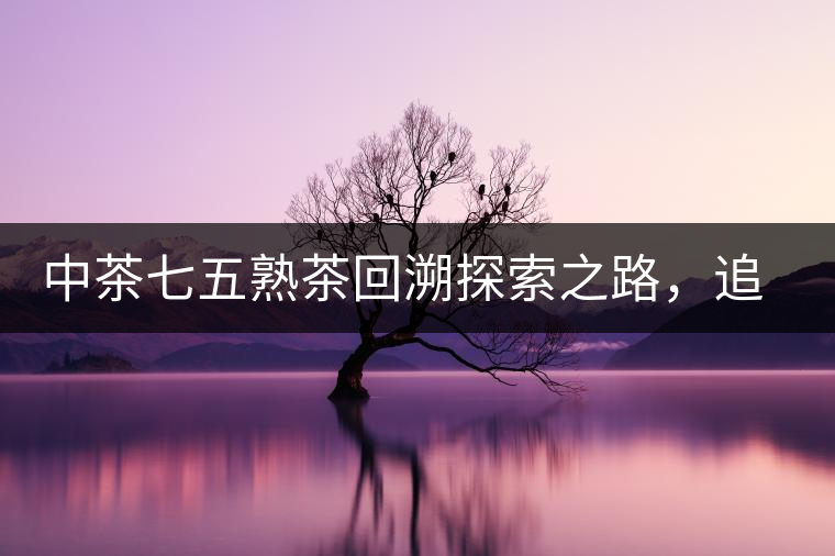 中茶七五熟茶回溯探索之路，追尋歷史印跡