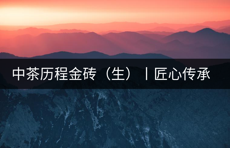 中茶歷程金磚（生）丨匠心傳承，精品迭出