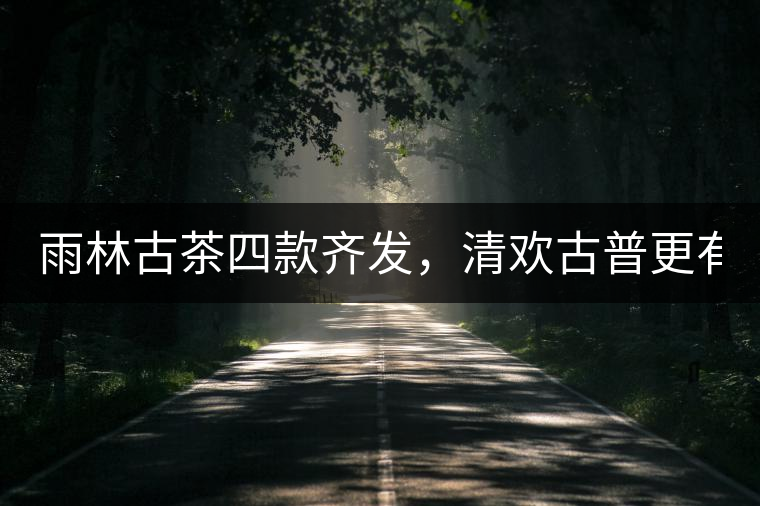 雨林古茶四款齊發(fā)，清歡古普更有味！
