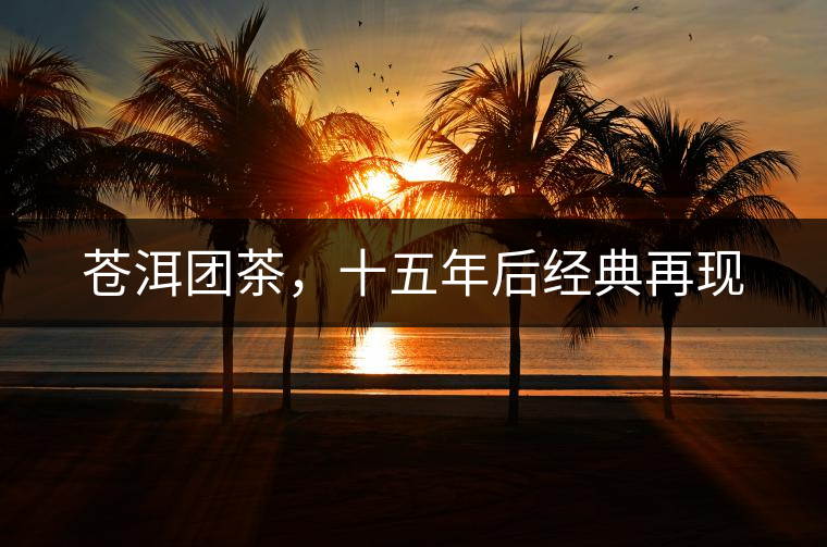 蒼洱團(tuán)茶，十五年后經(jīng)典再現(xiàn)