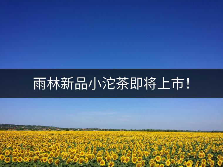 雨林新品小沱茶即將上市！