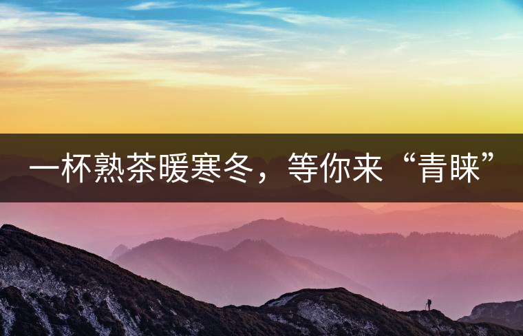 一杯熟茶暖寒冬，等你來(lái)“青睞”