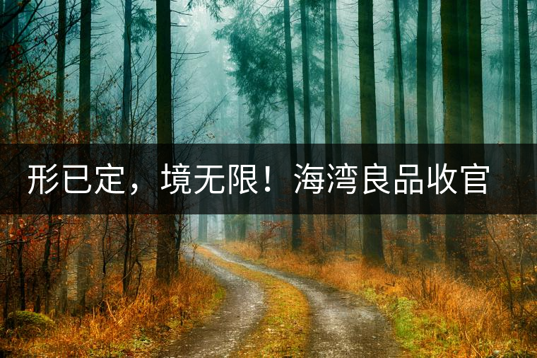 形已定，境無(wú)限！海灣良品收官季『良禪品』