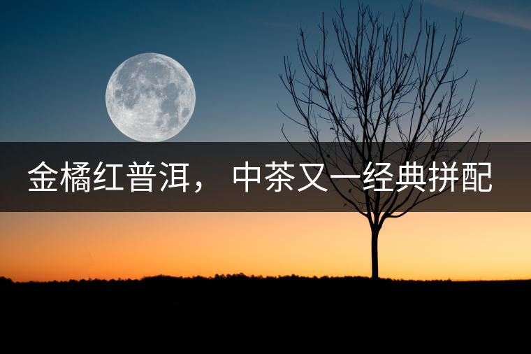 金橘紅普洱， 中茶又一經(jīng)典拼配力作，值得期待！
