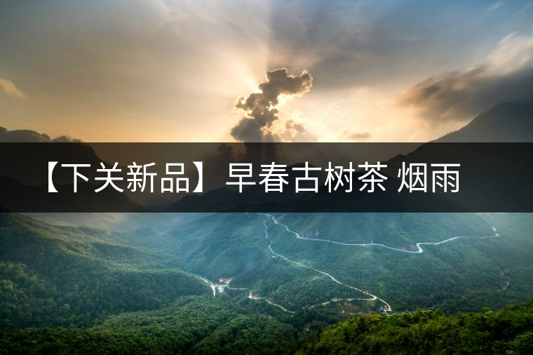 【下關(guān)新品】早春古樹(shù)茶 煙雨意濃濃 【下關(guān)新品】早春古樹(shù)茶 煙雨意濃濃