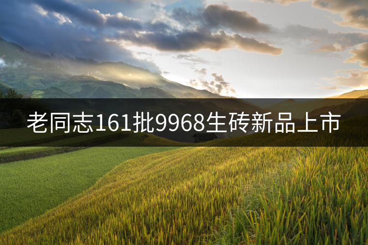 老同志161批9968生磚新品上市 老同志161批9968生磚新品上市