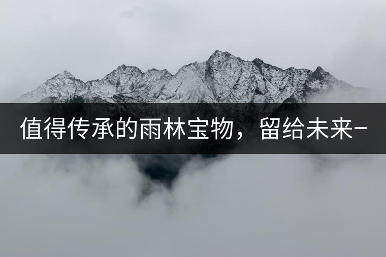 值得傳承的雨林寶物，留給未來(lái)一點(diǎn)“回甘”！