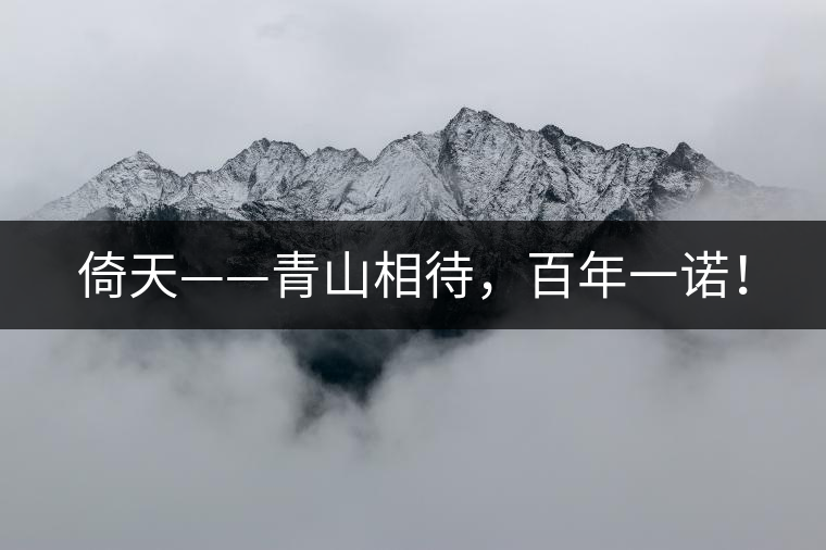 倚天——青山相待，百年一諾！