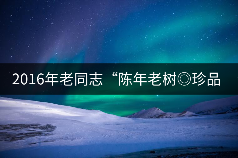 2016年老同志“陳年老樹◎珍品普洱”隆重上市！