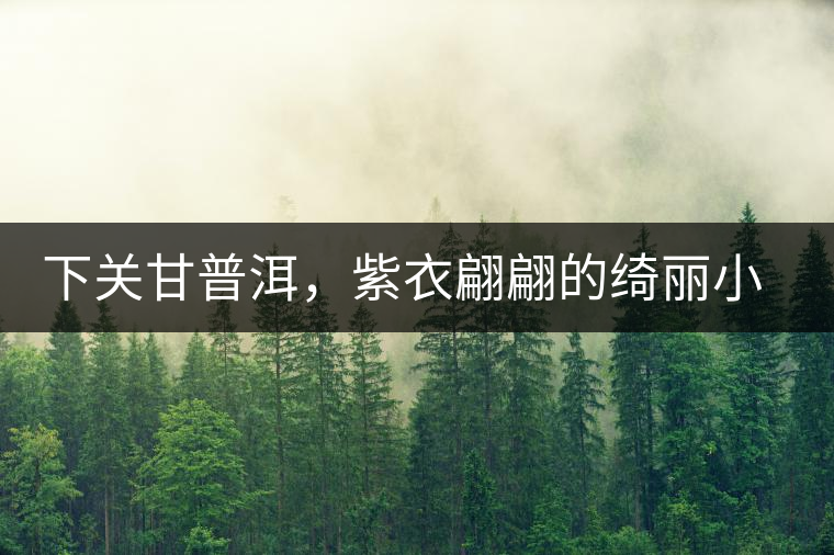 下關(guān)甘普洱，紫衣翩翩的綺麗小餅