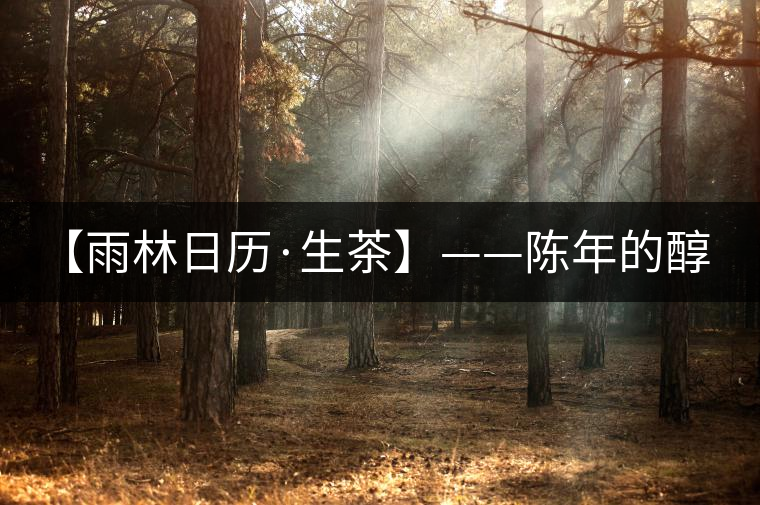 【雨林日歷·生茶】——陳年的醇，老料的香！