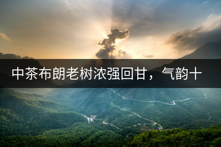 中茶布朗老樹濃強(qiáng)回甘，氣韻十足