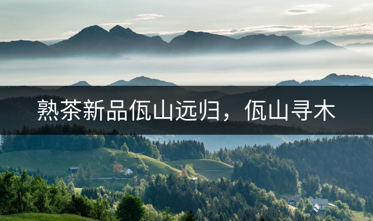 熟茶新品佤山遠(yuǎn)歸，佤山尋木