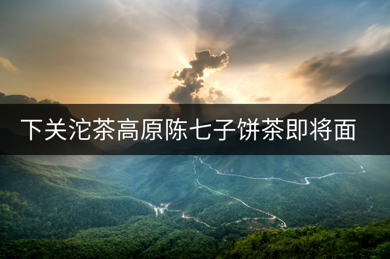 下關沱茶高原陳七子餅茶即將面世 下關沱茶高原陳七子餅茶即將面世