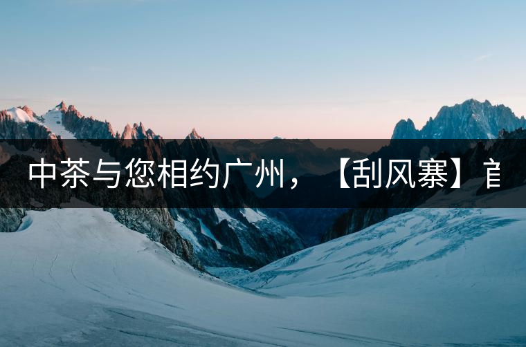中茶與您相約廣州，【刮風(fēng)寨】首次亮相！