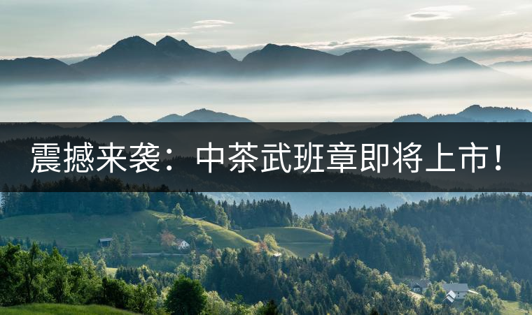 震撼來(lái)襲：中茶武班章即將上市！