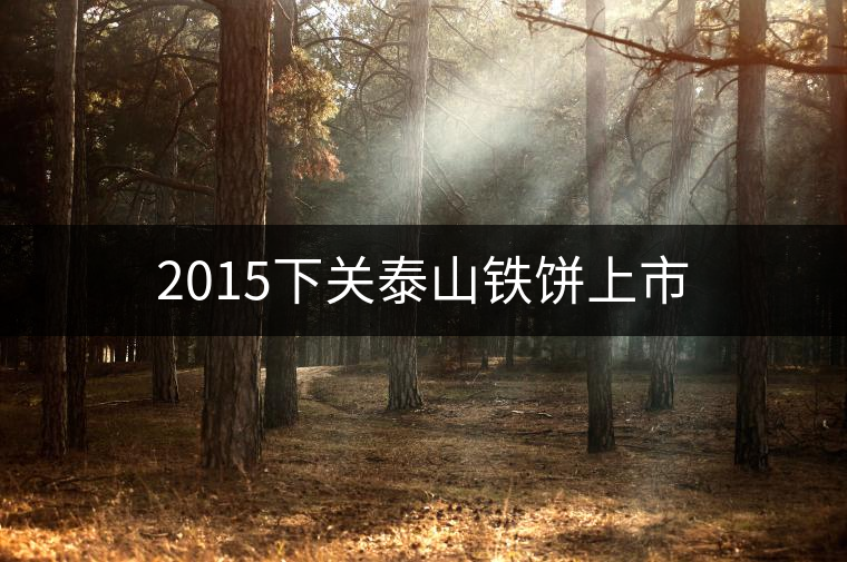 2015下關(guān)泰山鐵餅上市 2015下關(guān)泰山鐵餅上市