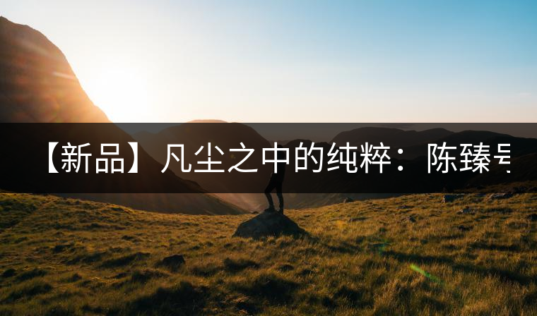 【新品】凡塵之中的純粹：陳臻號2016年精品青餅即將上市！