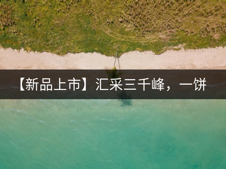 【新品上市】匯采三千峰，一餅群山鑄——群峰之峻！