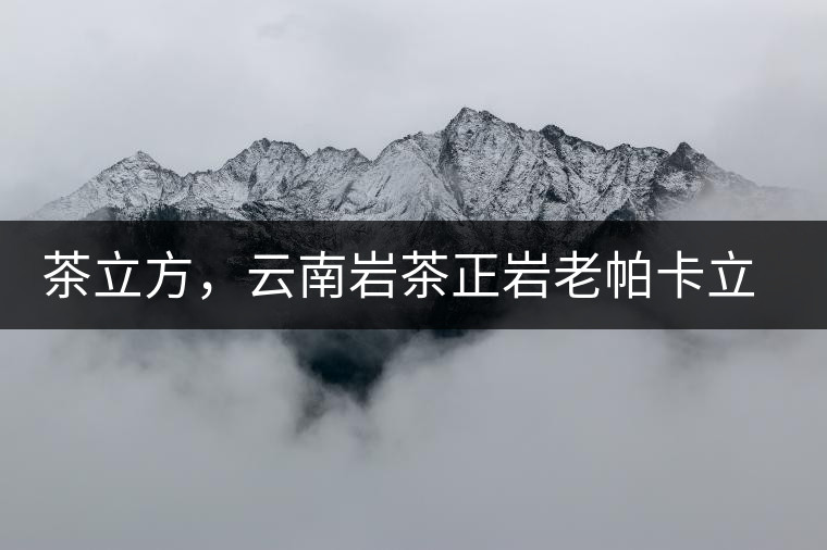 茶立方，云南巖茶正巖老帕卡立方磚今日芳香出爐