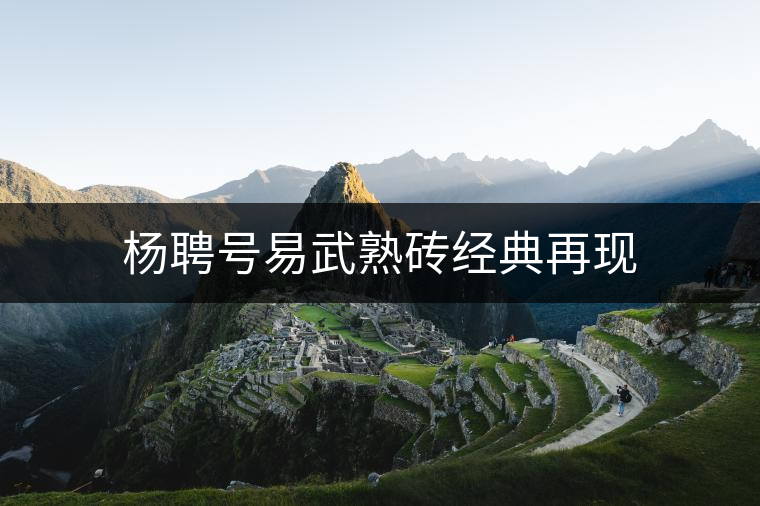 楊聘號易武熟磚經(jīng)典再現(xiàn) 楊聘號易武熟磚經(jīng)典再現(xiàn)