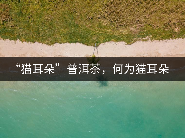 “貓耳朵”普洱茶，何為貓耳朵？
