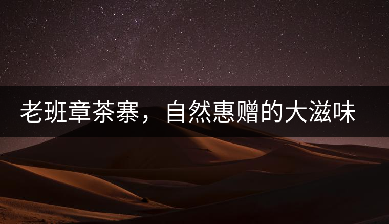 老班章茶寨，自然惠贈的大滋味，大滿足