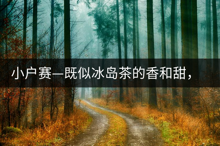 小戶賽—既似冰島茶的香和甜，又有其獨特的純和凈