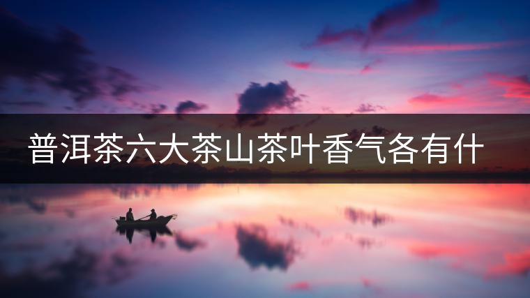 普洱茶六大茶山茶葉香氣各有什么特點？
