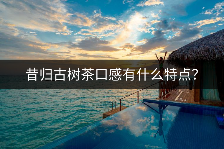 昔歸古樹茶口感有什么特點(diǎn)？