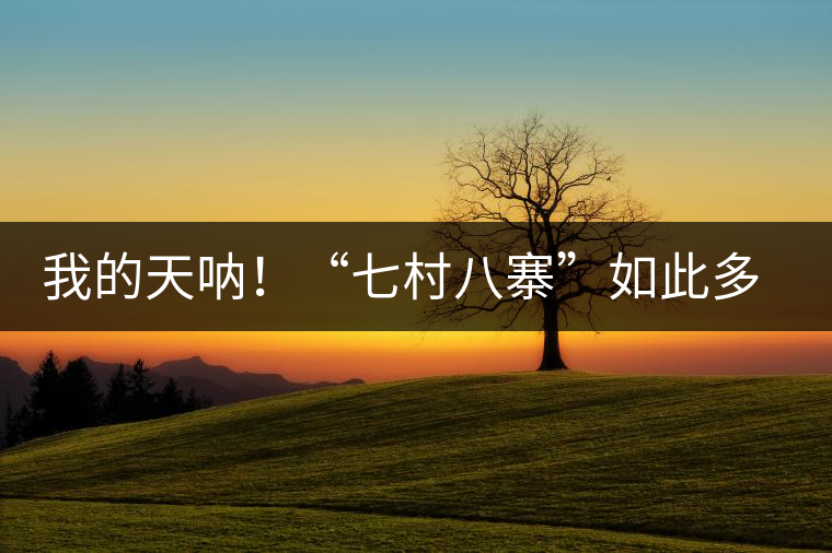我的天吶！“七村八寨”如此多的易武茶，品質(zhì)特色如何分辨？