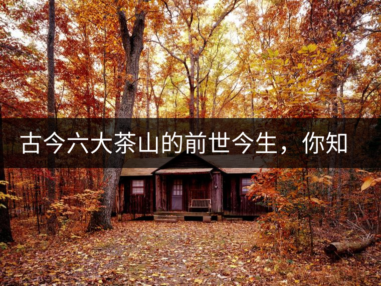 古今六大茶山的前世今生，你知多少？