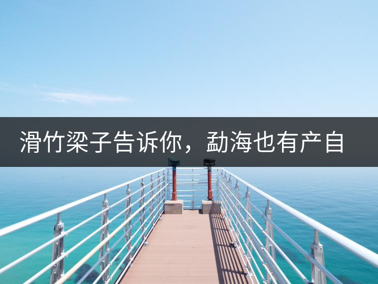 滑竹梁子告訴你，勐海也有產(chǎn)自國(guó)有林里的好茶！