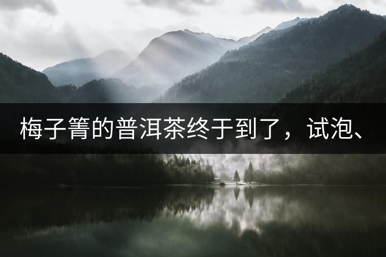 梅子箐的普洱茶終于到了，試泡、、、