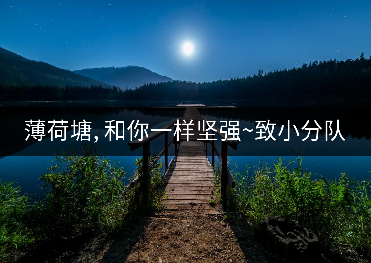 薄荷塘, 和你一樣堅強(qiáng)~致小分隊
