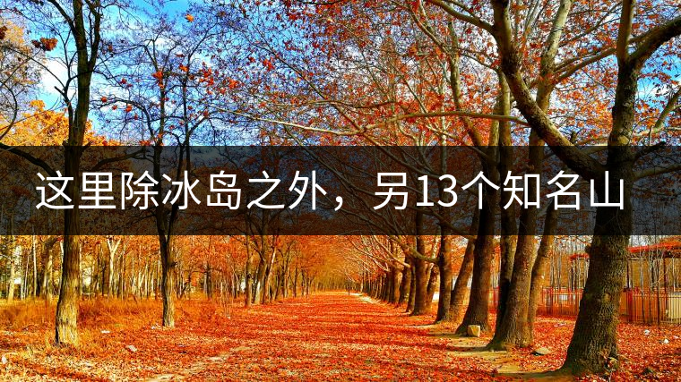 這里除冰島之外，另13個知名山頭普洱茶你知道嗎？