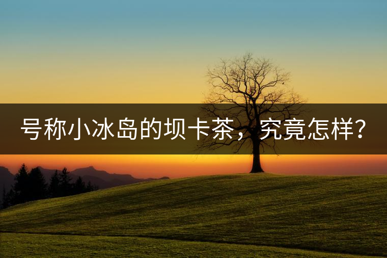 號稱小冰島的壩卡茶，究竟怎樣？