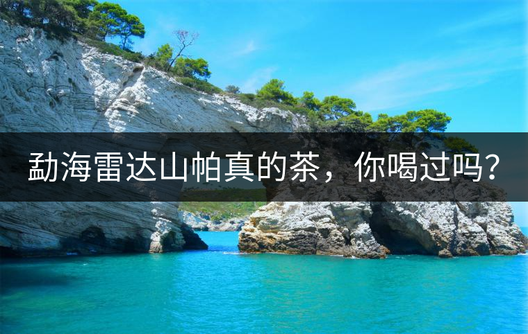 勐海雷達(dá)山帕真的茶，你喝過(guò)嗎？