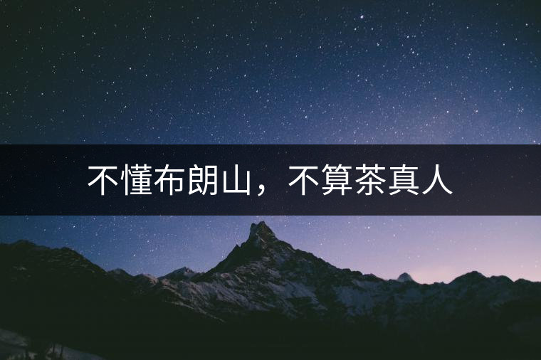 不懂布朗山，不算茶真人