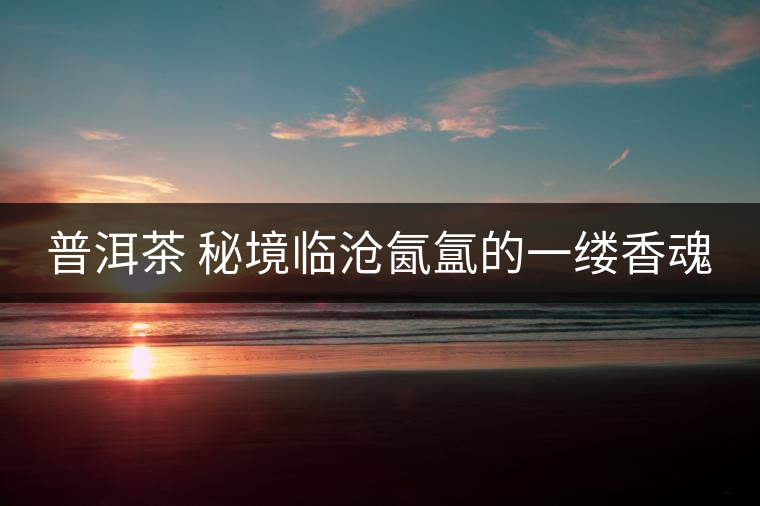 普洱茶 秘境臨滄氤氳的一縷香魂 普洱茶 秘境臨滄氤氳的一縷香魂