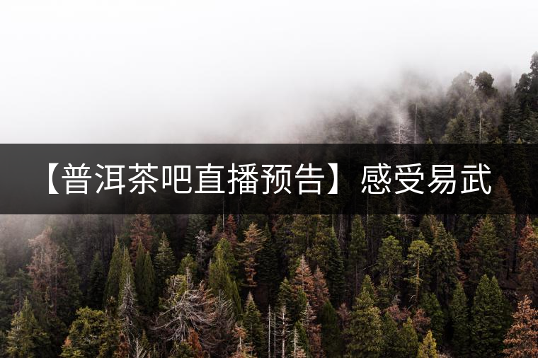【普洱茶吧直播預(yù)告】感受易武刮風(fēng)寨普洱茶的轉(zhuǎn)化（第十四期）