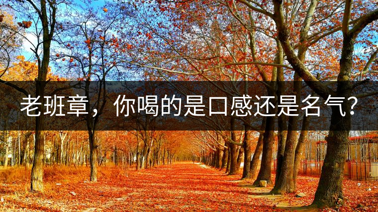 老班章，你喝的是口感還是名氣？