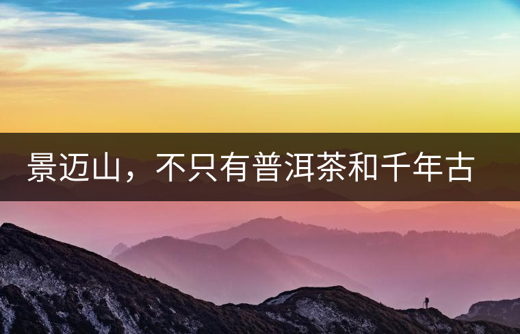 景邁山，不只有普洱茶和千年古茶林