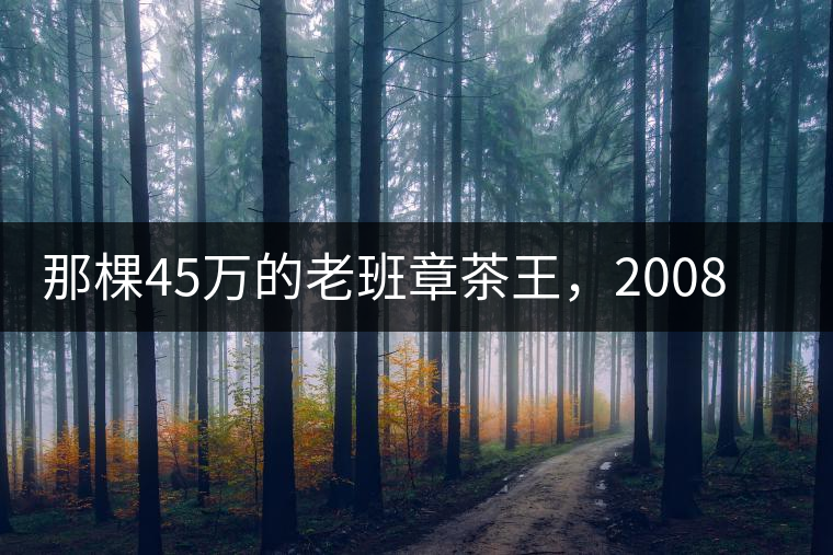 那棵45萬的老班章茶王，2008年是什么樣子的？