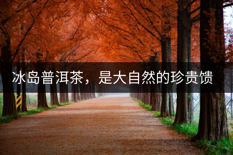 冰島普洱茶，是大自然的珍貴饋贈