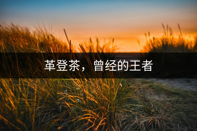 革登茶，曾經(jīng)的王者