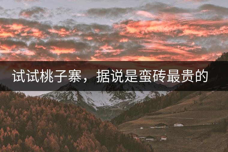 試試桃子寨，據(jù)說是蠻磚最貴的茶