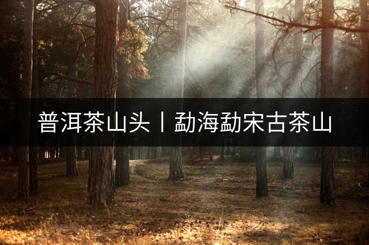 普洱茶山頭丨勐海勐宋古茶山